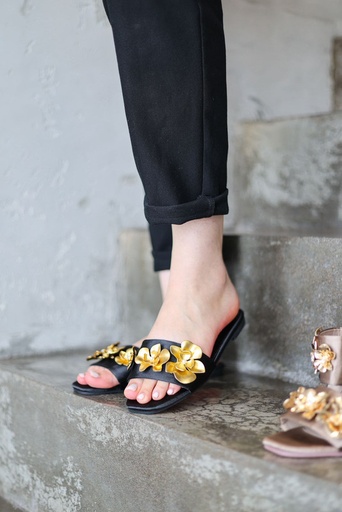 [B146-Black-36] B146 (Black, 36)
