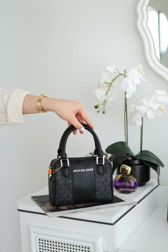 BAG 480